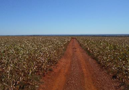 Tangara da Serra, MT