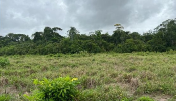 Avaliação de fazenda Para